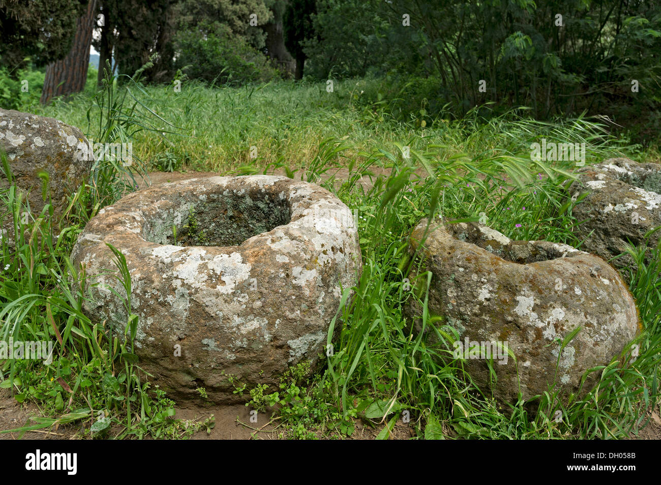 Alte steinerne Tröge, verwendet als Speicher für Urnen, archaische Zone, etruskischen Nekropole von La Banditaccia Stockfoto