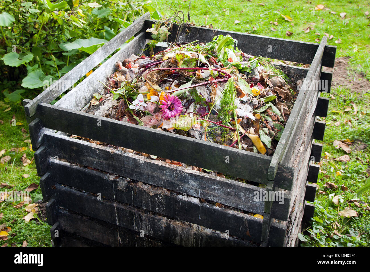 Kompost im Garten Stockfoto