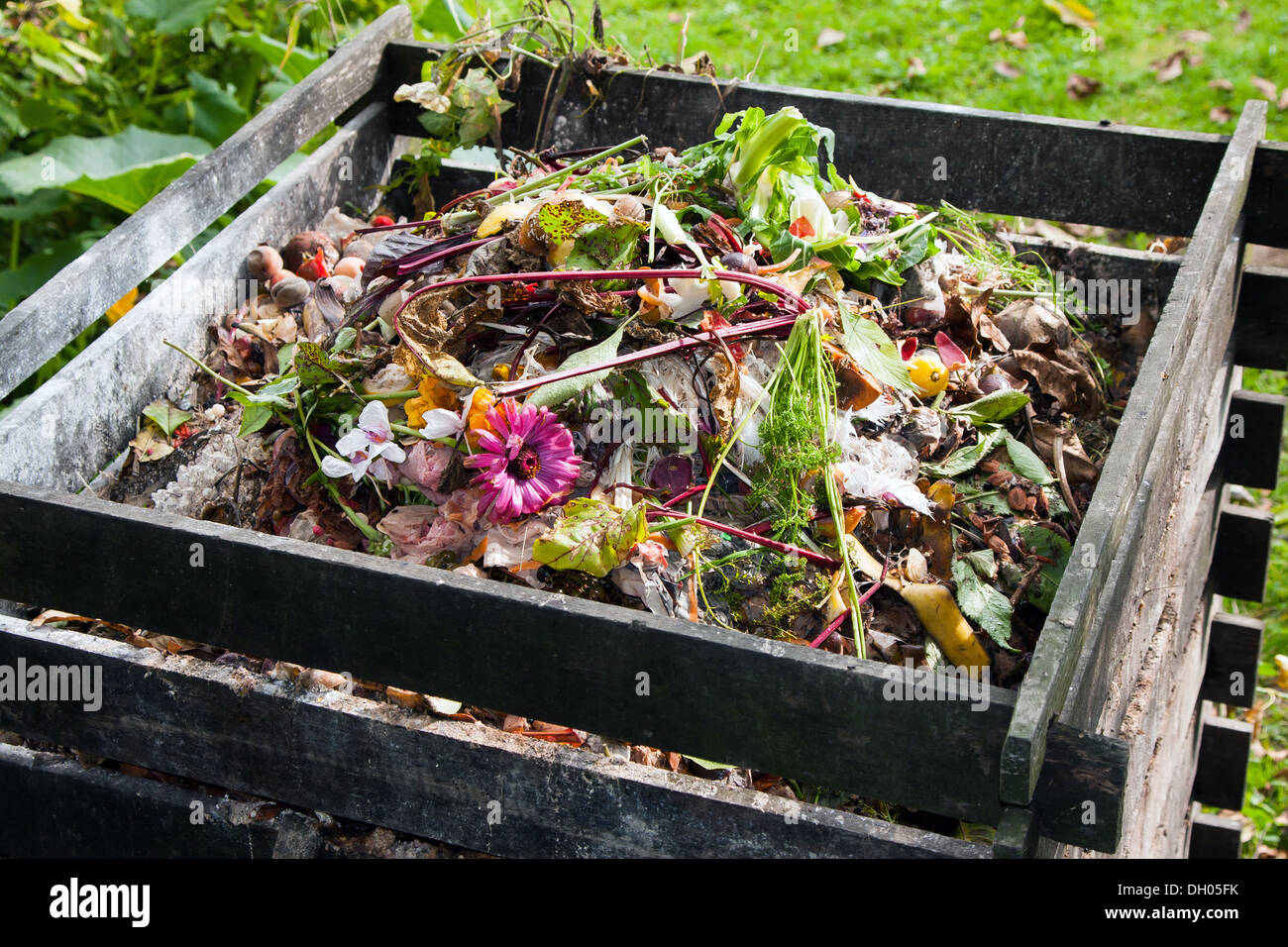 Kompost im Garten Stockfoto