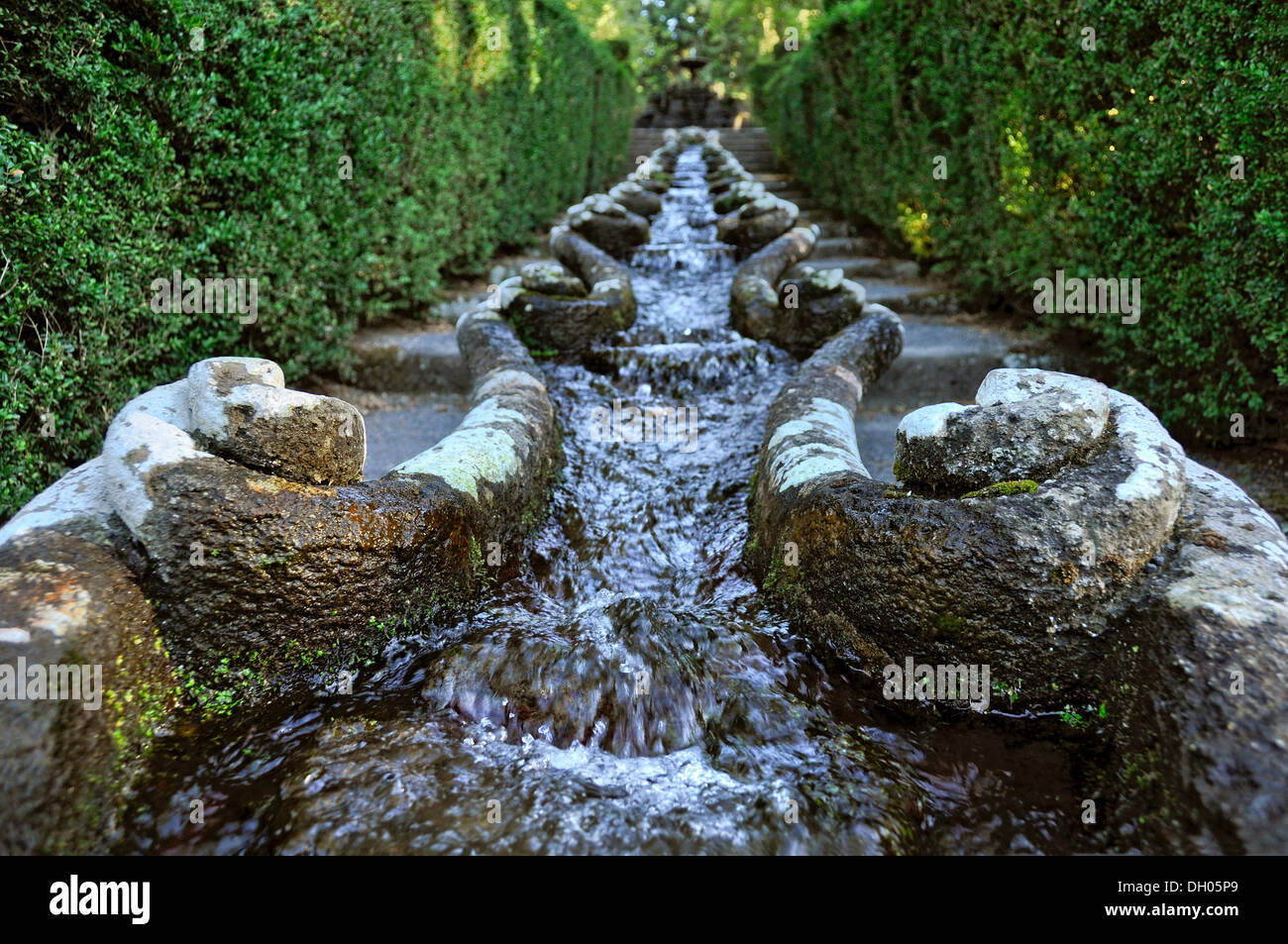 Wasserkette oder eines Kanals von Garnelen, Catena d'Aqua o Cordonata del Gambero, Garten der Villa Lante, Bagnaia, Latium, Italien Stockfoto