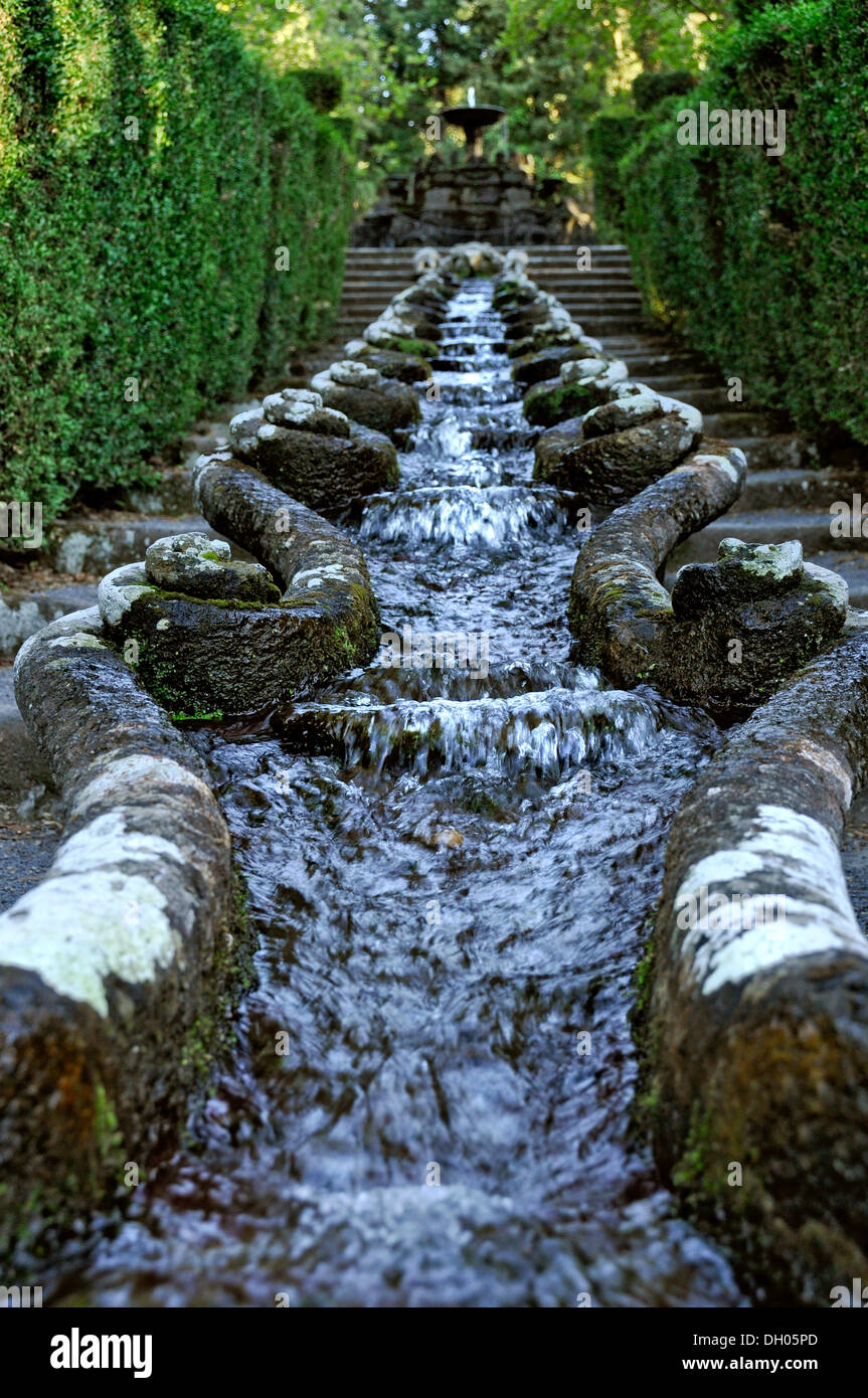 Wasserkette oder Kanal des Krebses, Catena d'Aqua o Cordonata del Gambero, Gärten der Villa Lante in Bagnaia, Latium, Italien Stockfoto