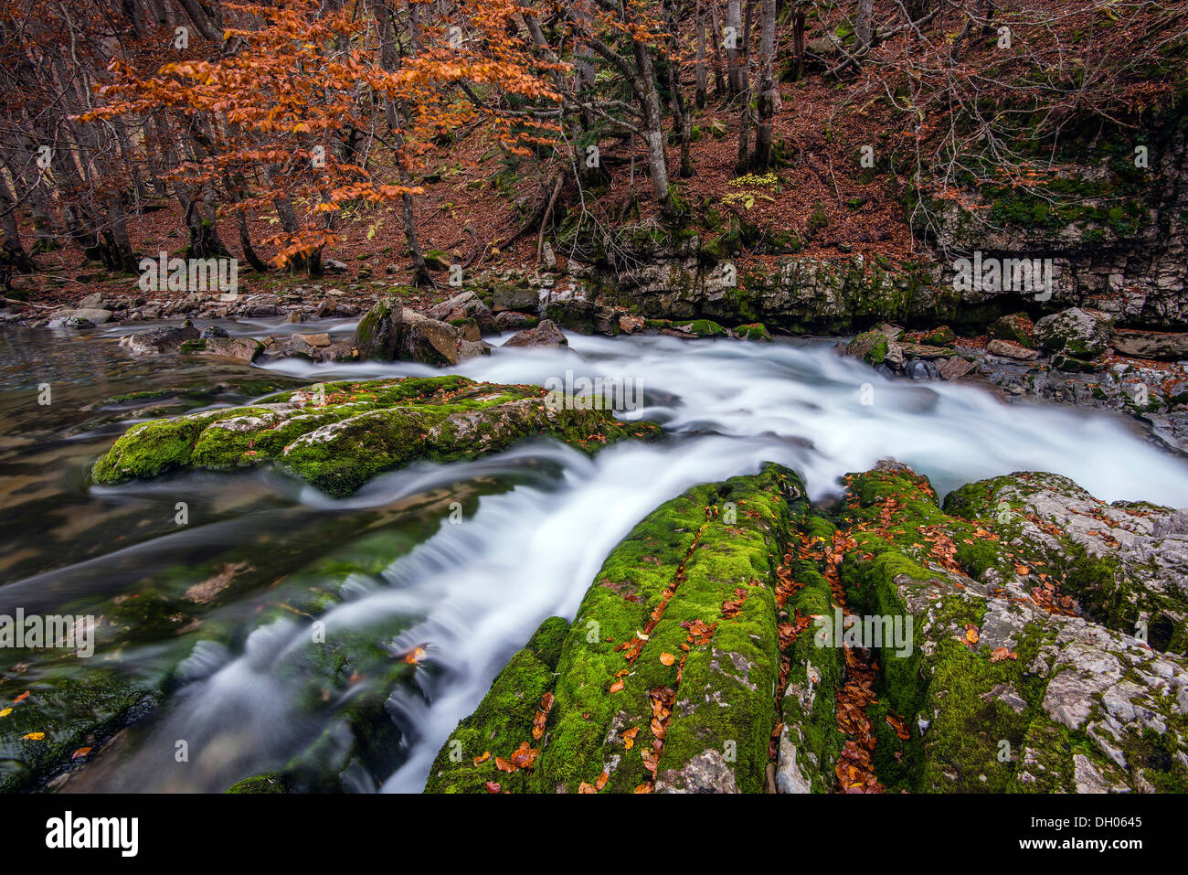 Herbst-bunte Landschaft mit blur, Motion Gebirgsfluss, Ordesa und Monte Perdido Nationalpark, Huesca, Aragon, Spanien Stockfoto