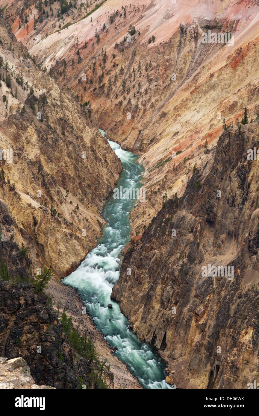 Grand Canyon des Yellowstone River, Yellowstone-Nationalpark, Wyoming Stockfoto