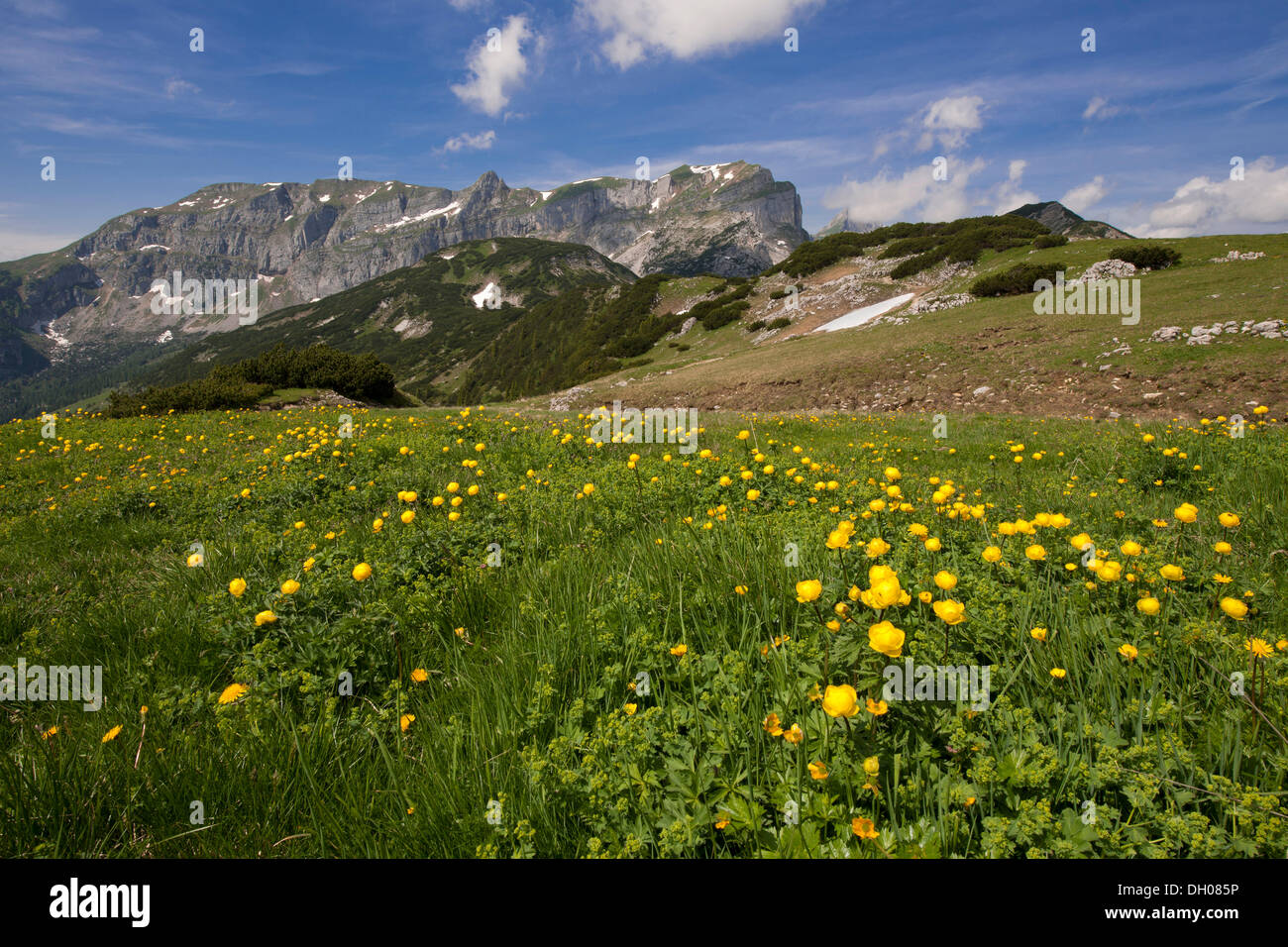 Brandenberg Alpen, Tirol, Österreich, Europa Stockfoto