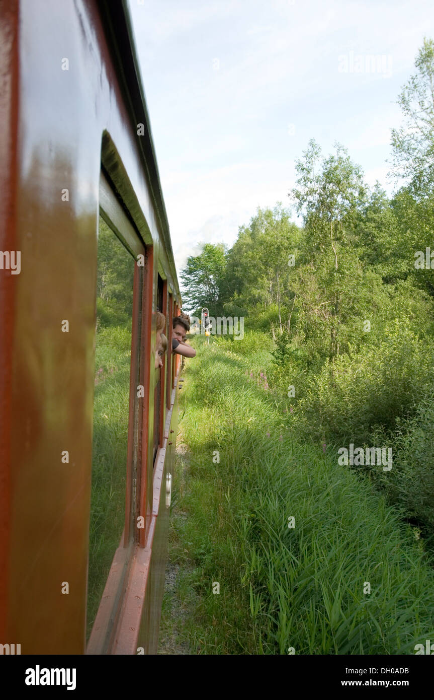 Schweden schwedische Landschaft aus einem Zug Beförderung Schiene Eisenbahn Eisenbahn Dampf Zug Züge Stockfoto