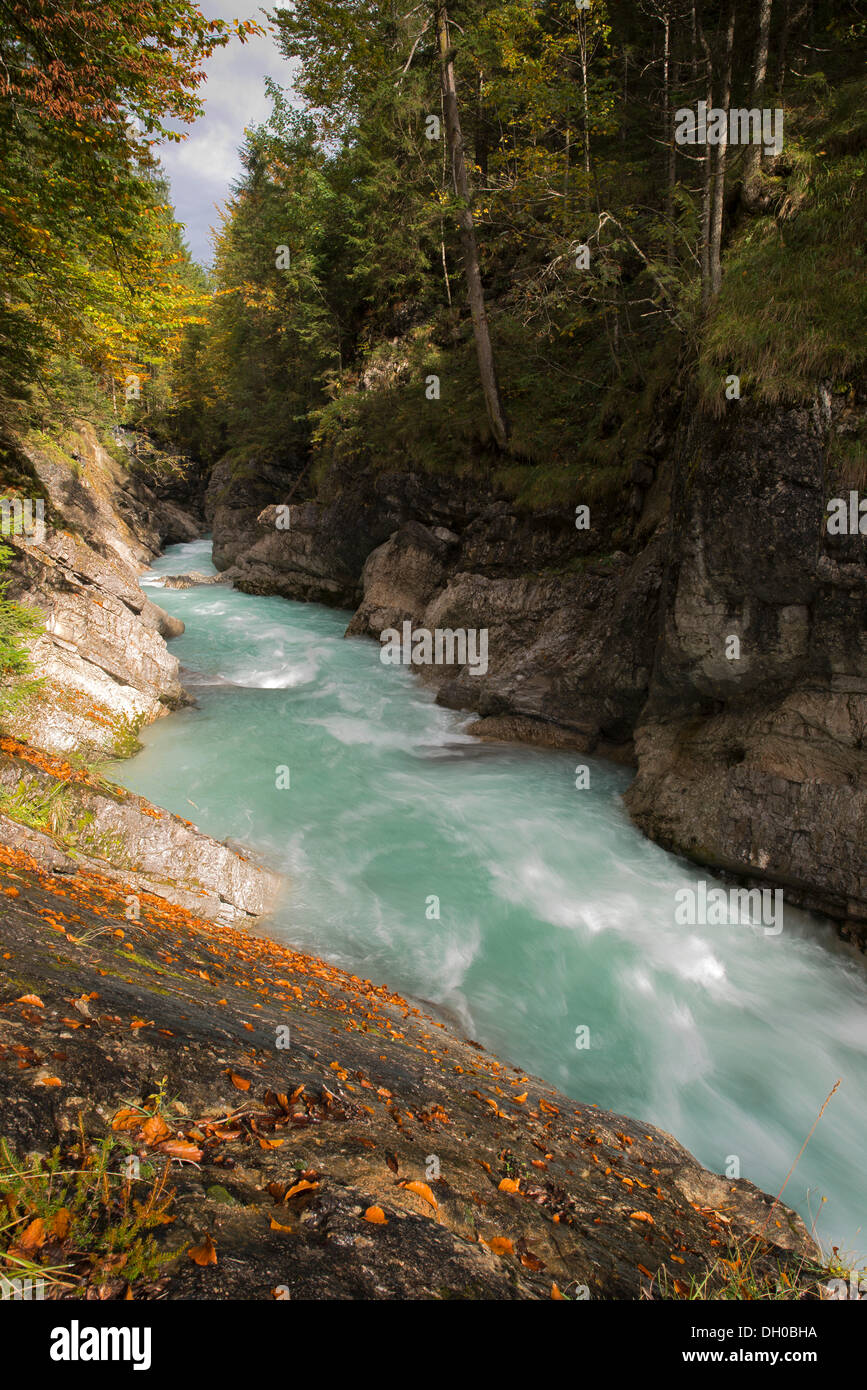 Rissbach Stream im Herbst, Karwendelgebirge, Tirol, Österreich, Europa Stockfoto