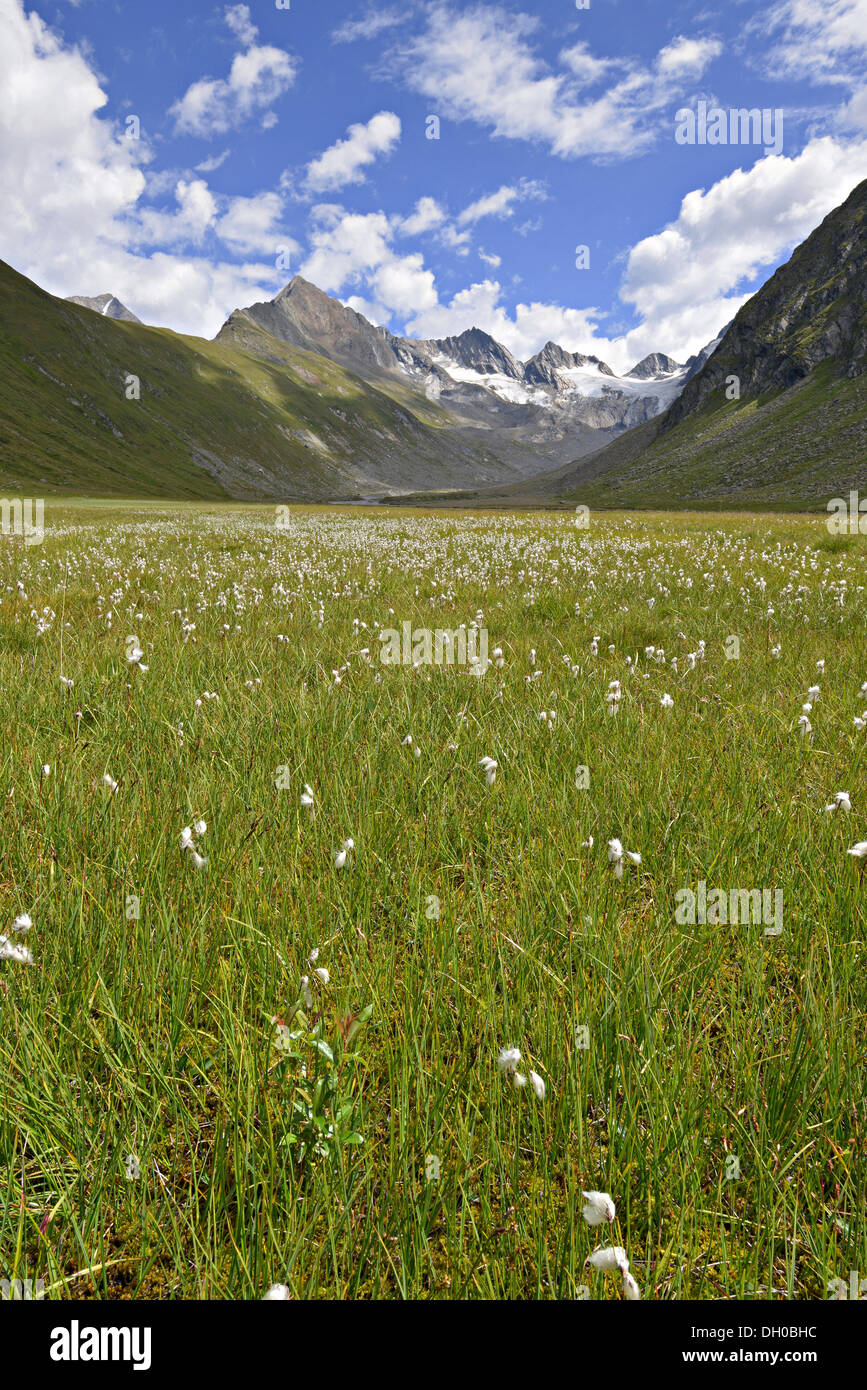 Rotmoostal Tal mit den Ötztaler Alpen im Rücken, Tirol, Österreich, Europa Stockfoto