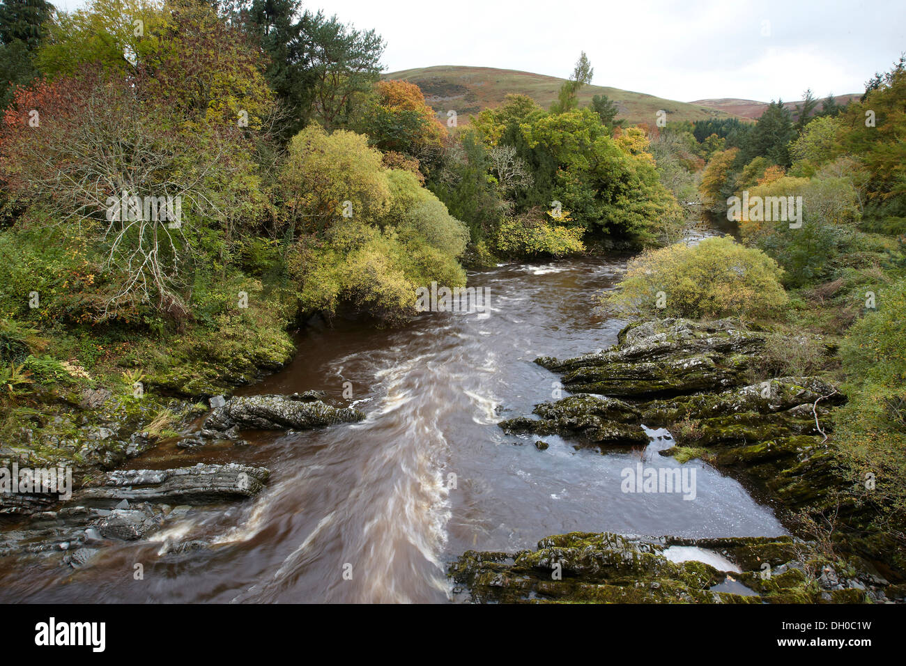 Herbstfärbung säumen die Ufer des Ettrick Wasser, Ettrickbridge, Schottland, UK. Stockfoto