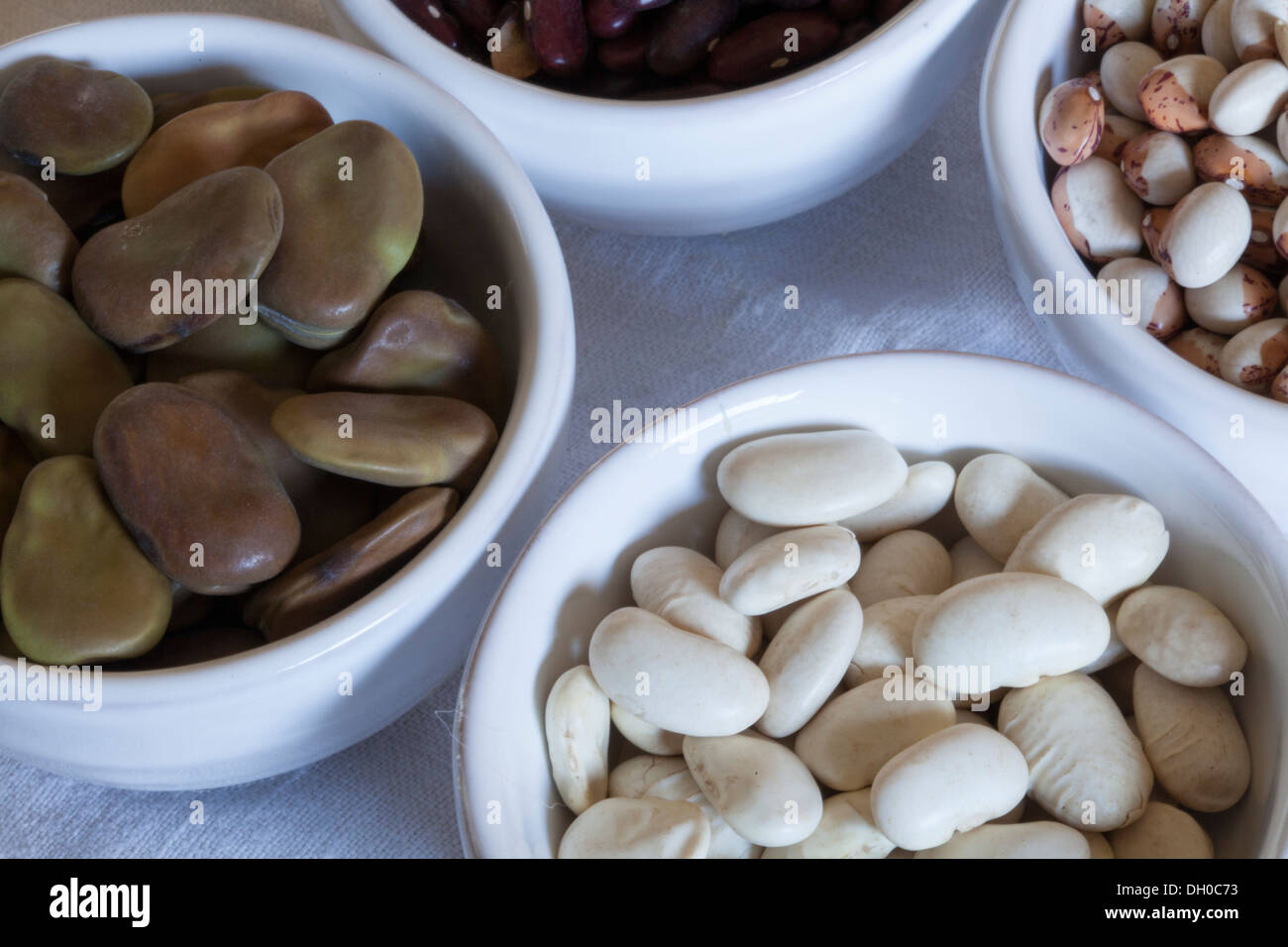 Getrocknete Zucker Bohnen, Butter Bohnen, rote Kidney-Bohnen, Dicke Bohnen in weißen Schalen Stockfoto