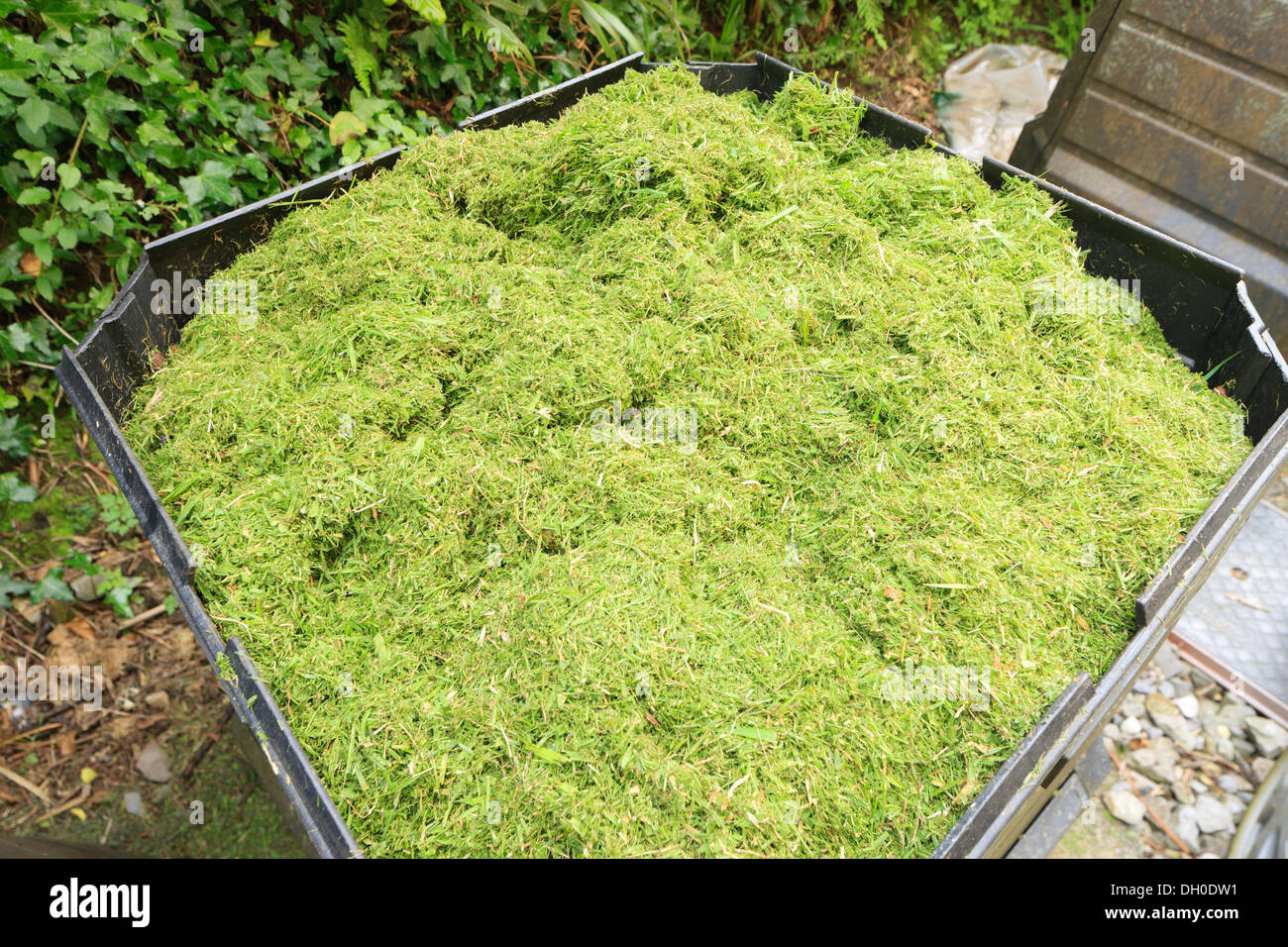 Kompostierung Gras Stockfoto