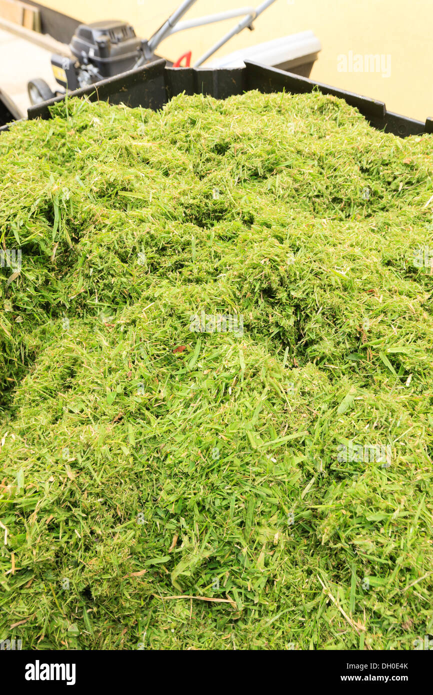 Kompostierung Gras Stockfoto