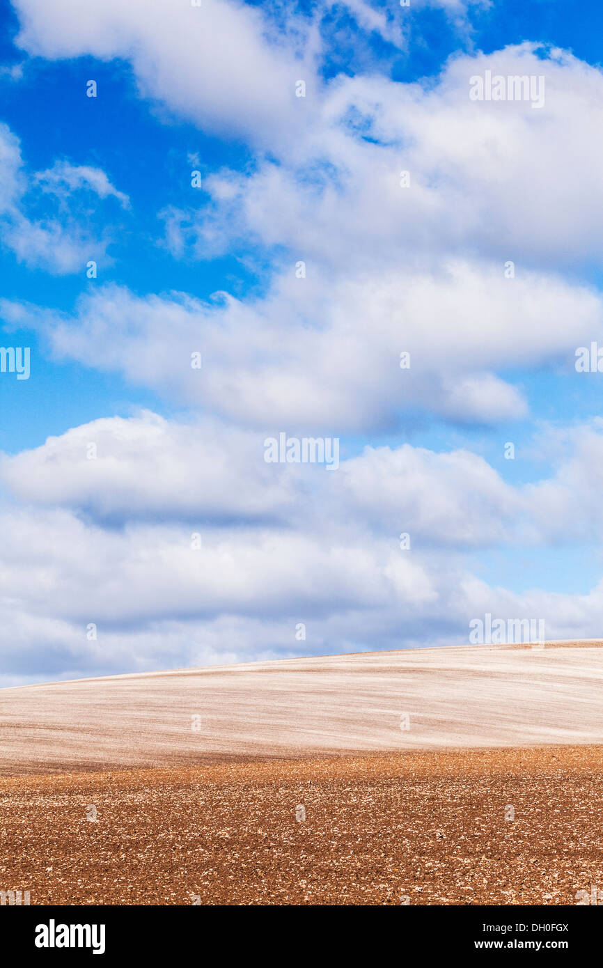 Ein einfaches herbstlichen Bild aus einem gepflügten Kreide-Feld und flauschige weiße Wolken am blauen Himmel in Wiltshire, England. Stockfoto