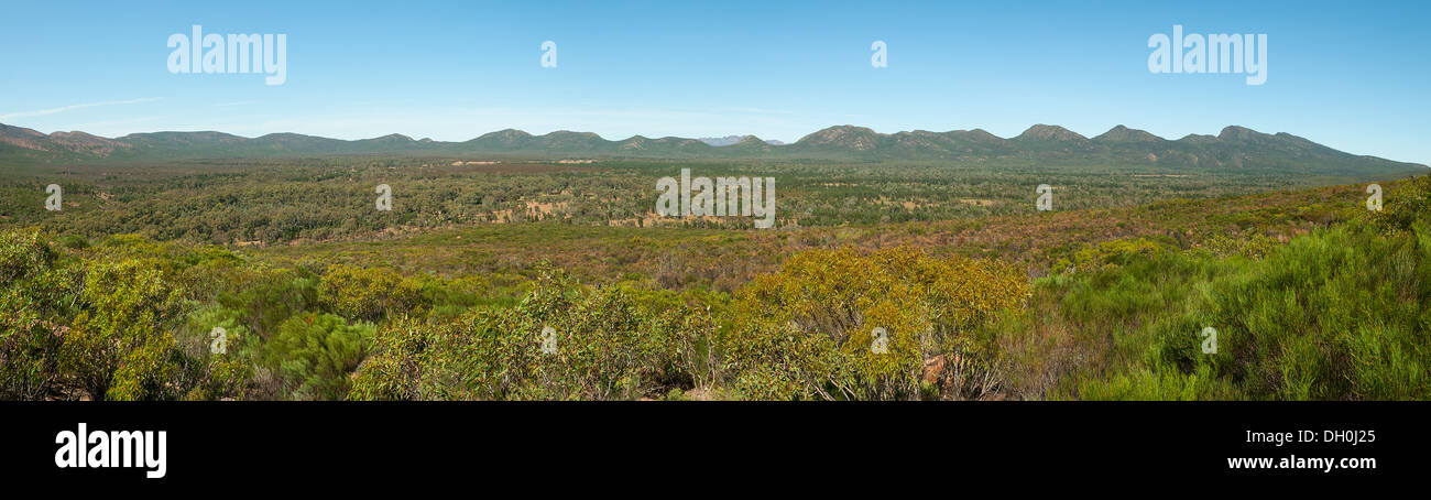 Im Inneren Wilpena Pound Panorama, Flinders Range National Park, South Australia, Australien Stockfoto