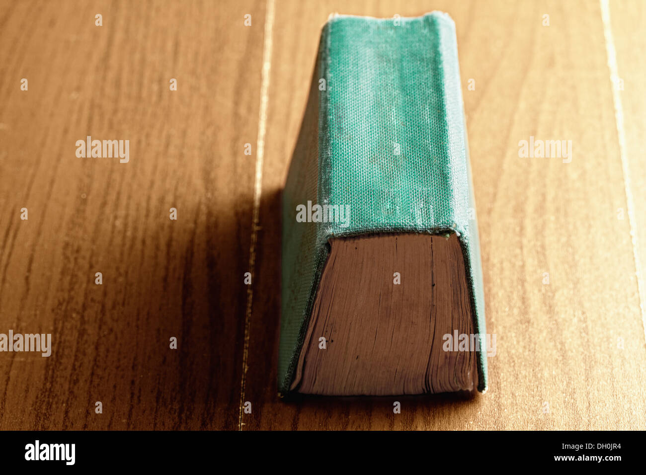 Grünbuch über Holz Wirbelsäule bis Stockfoto