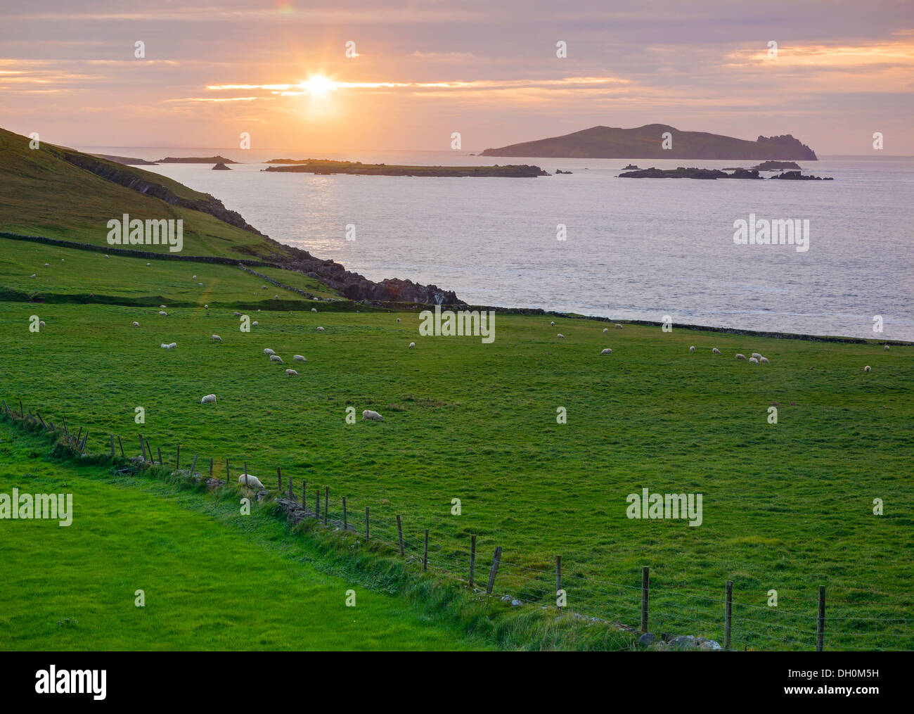 County Kerry, Irland: Sonnenuntergang über Blasket Sound und die Blasket Islands von Dunmore Head Stockfoto