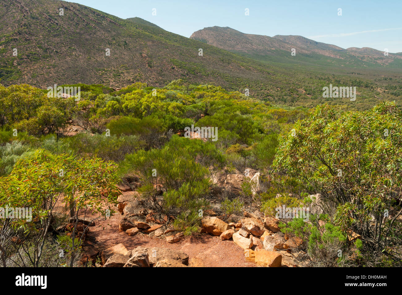 Weg von Gonja Lookout, Wilpena Pound Stockfoto