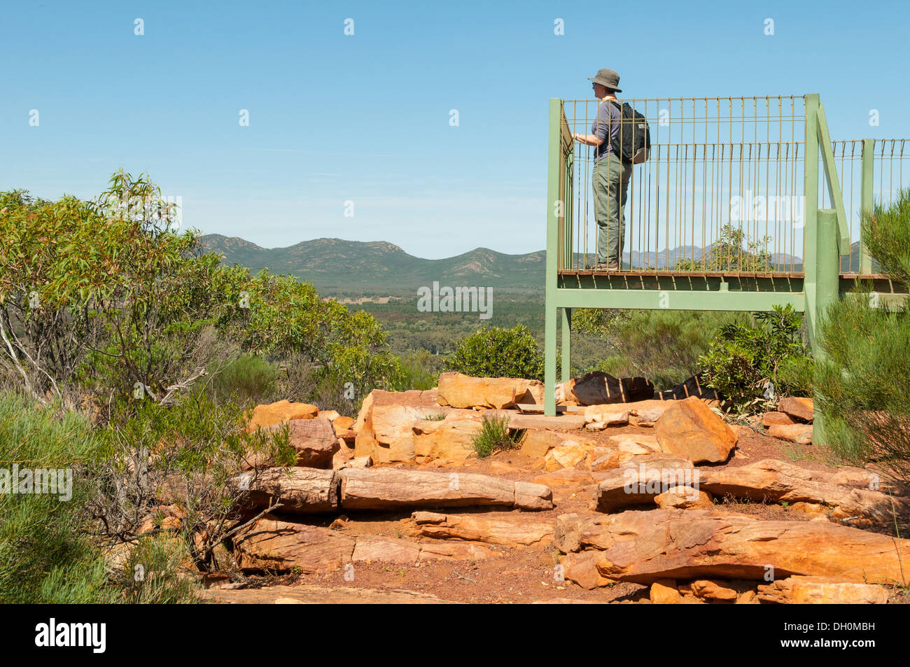 Senken Sie Gonja Lookout, Wilpena Pound, Flinders Range National Park, South Australia, Australien Stockfoto