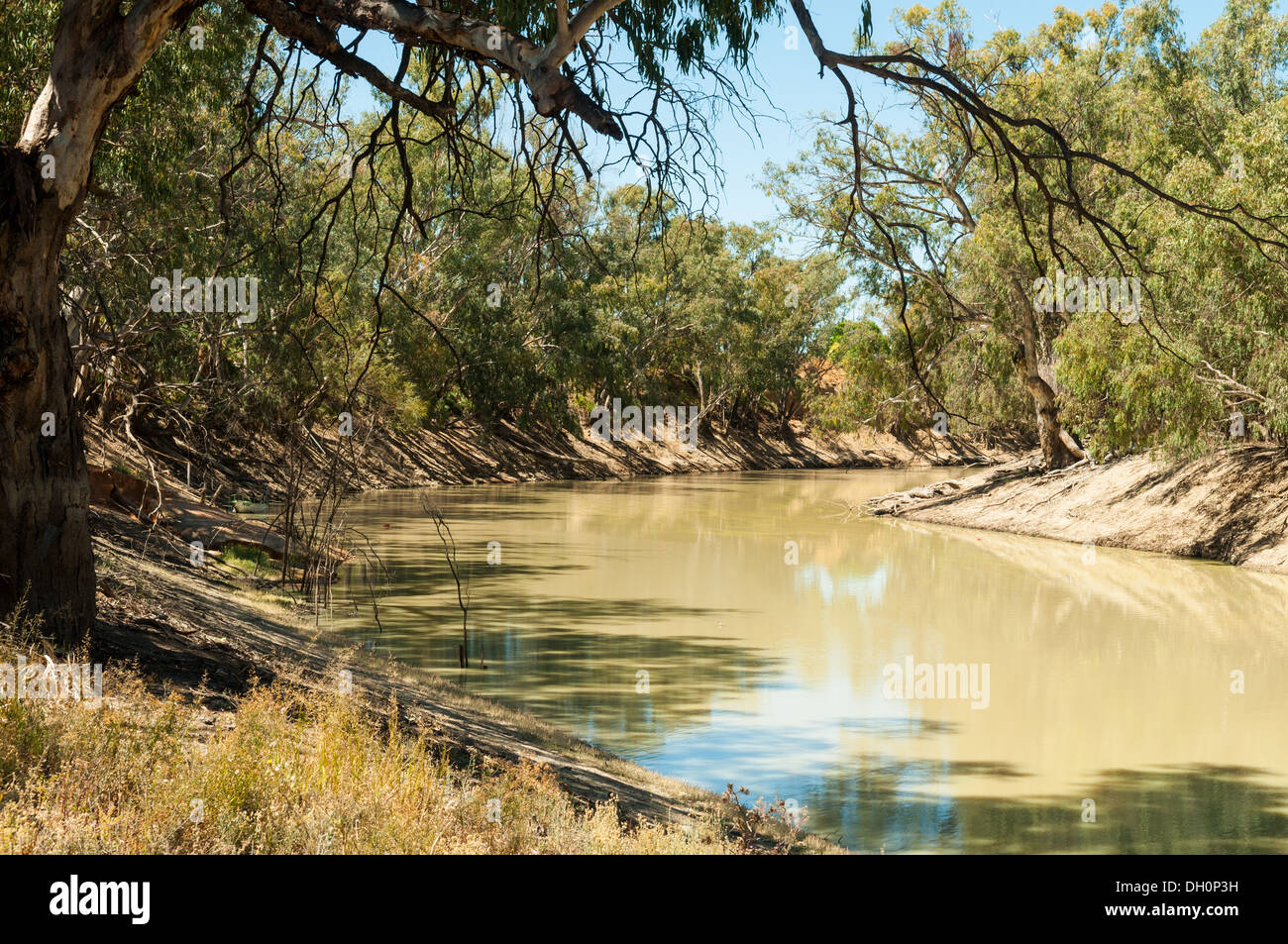 Darling River bei Pooncarie, NSW, Australia Stockfoto