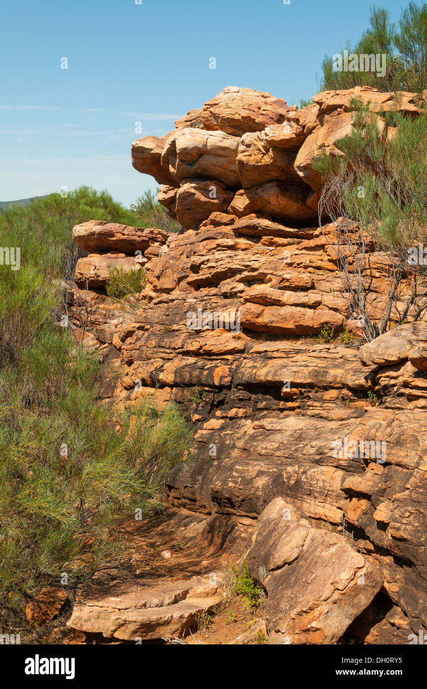Felsformation im Wilpena Pound, Flinders Range National Park, South Australia, Australien Stockfoto