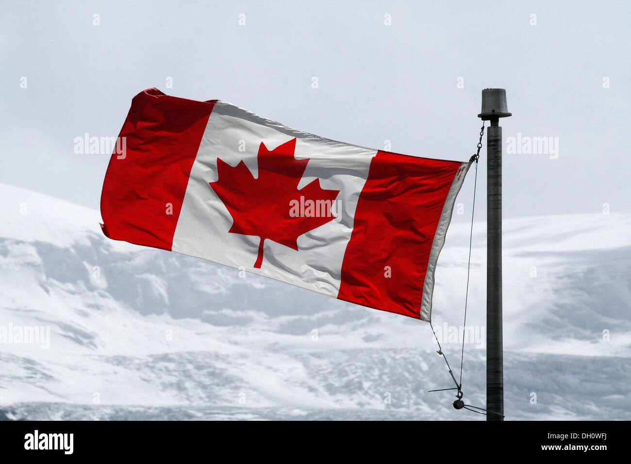 Kanada-Flagge, Icefield Parkway, Kanada Stockfoto