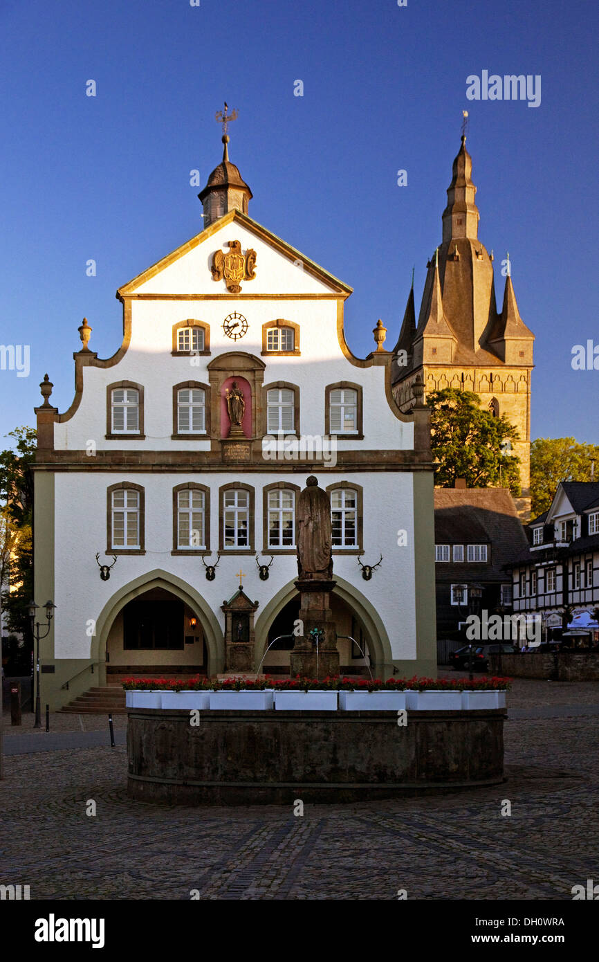 Marktplatz mit dem Petrus-Brunnen vor dem Rathaus und der Propstei Kirche des Heiligen Petrus und Andreas, Brilon Stockfoto
