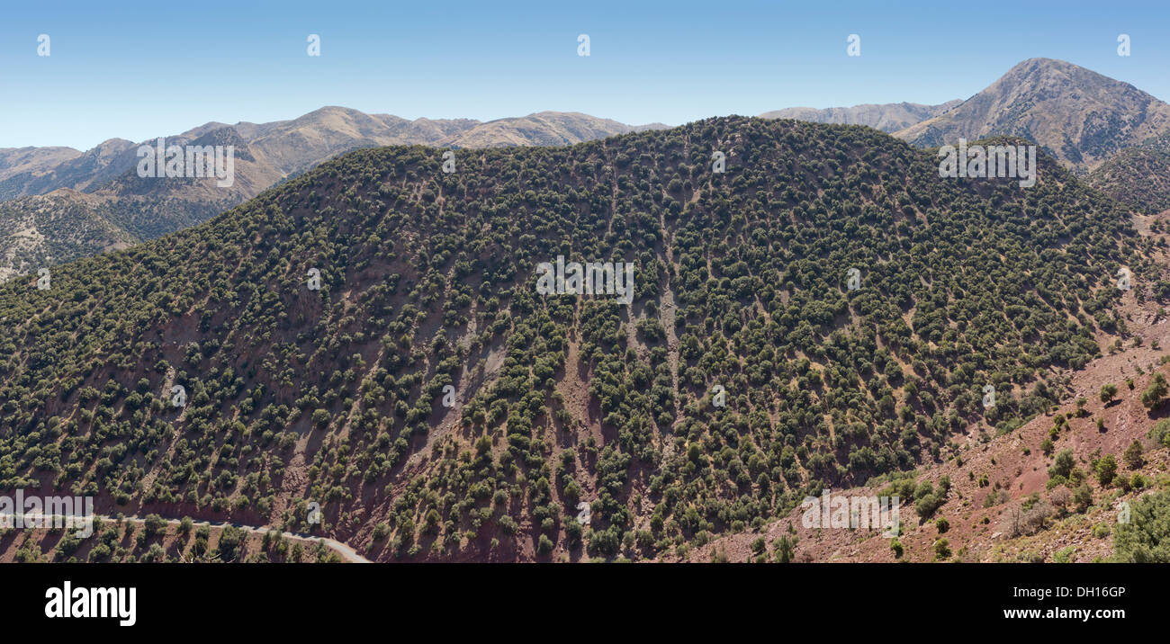 Blick vom Pass Tizi n'Test über den hohen Atlas Gebirge unterwegs nach Marrakesch, Marokko, Nordafrika Stockfoto