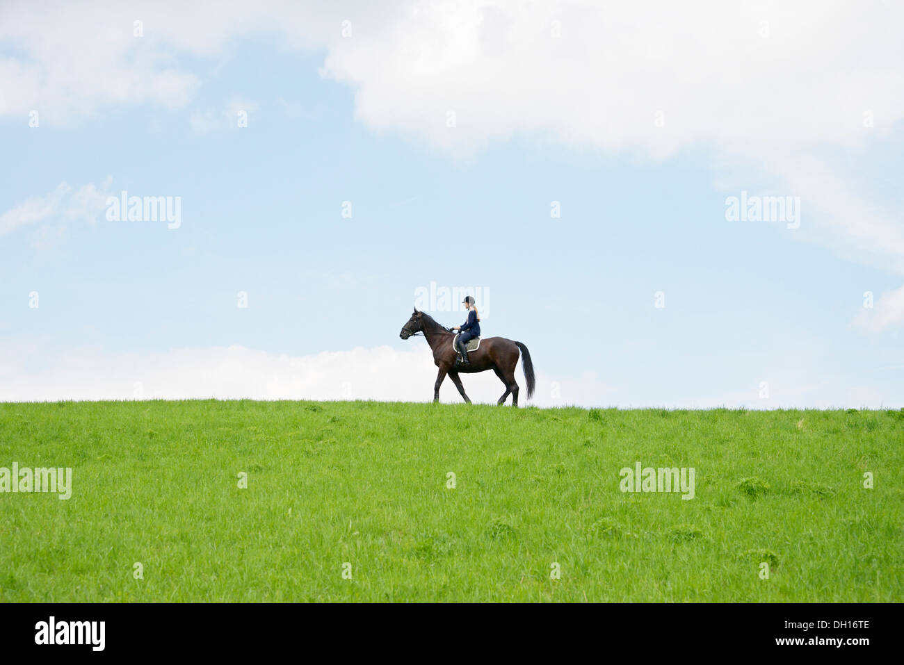 Frau auf Pferd in Landschaft im ländlichen Raum, Baden Württemberg, Deutschland, Europa Stockfoto