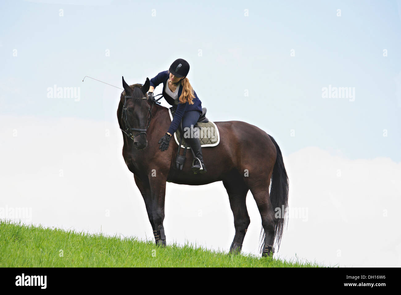Frau auf Pferd in Landschaft im ländlichen Raum, Baden Württemberg, Deutschland, Europa Stockfoto