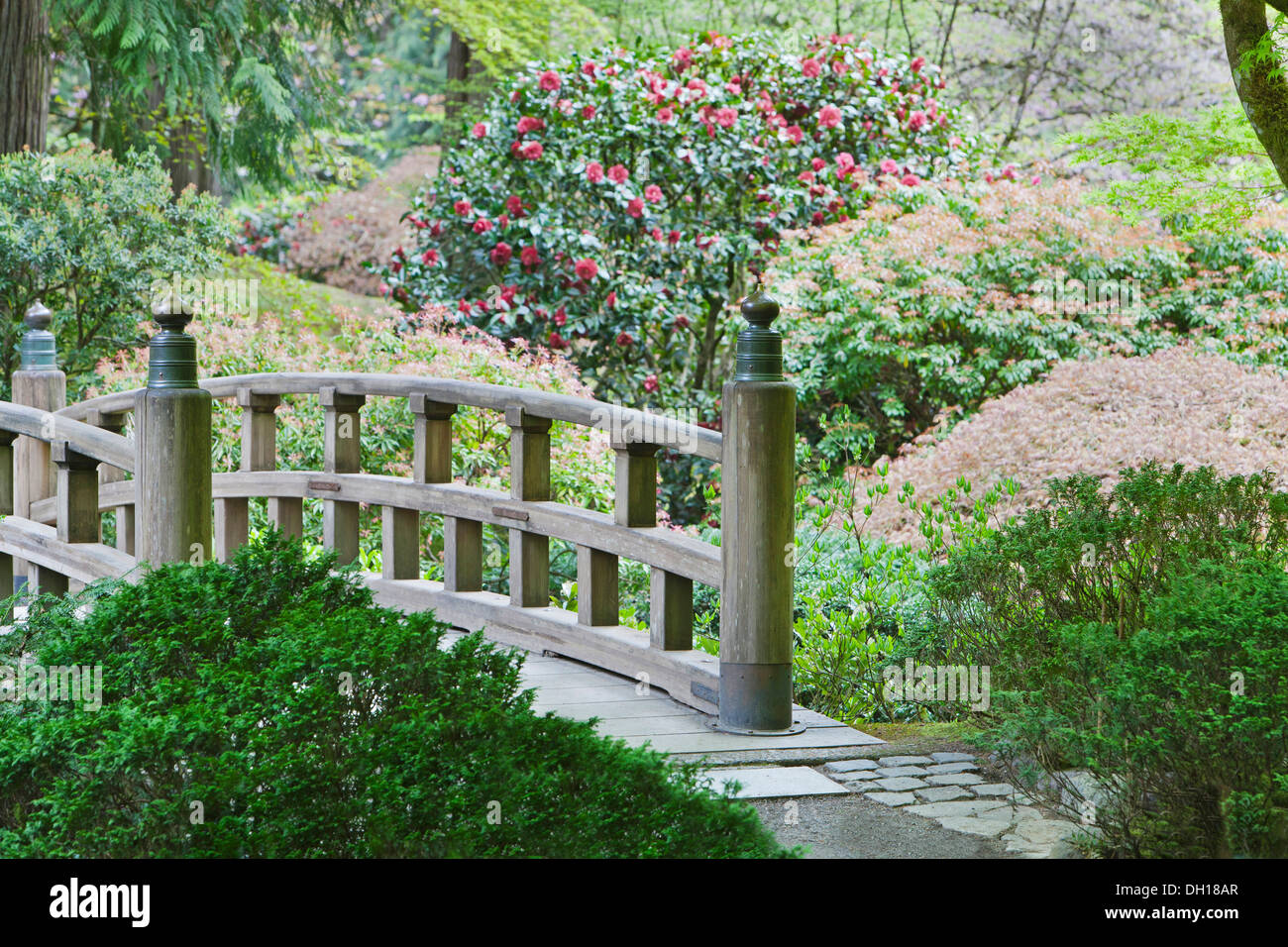 Holzsteg im japanischen Garten, Portland, Oregon, Vereinigte Staaten von Amerika Stockfoto