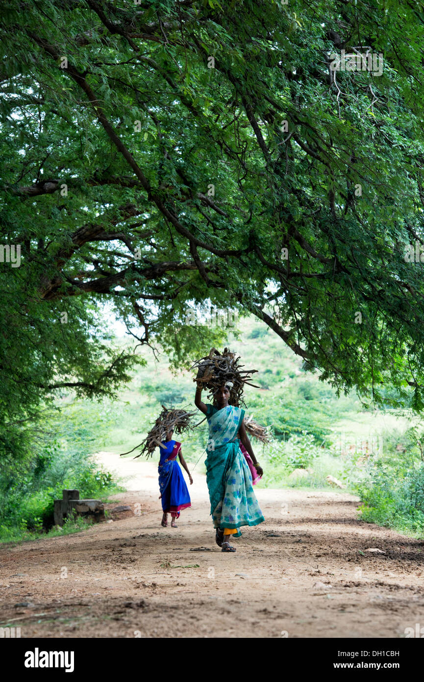 Indische Dorffrauen, die Brennholz auf dem Kopf in der indischen Landschaft. Andhra Pradesh, Indien Stockfoto
