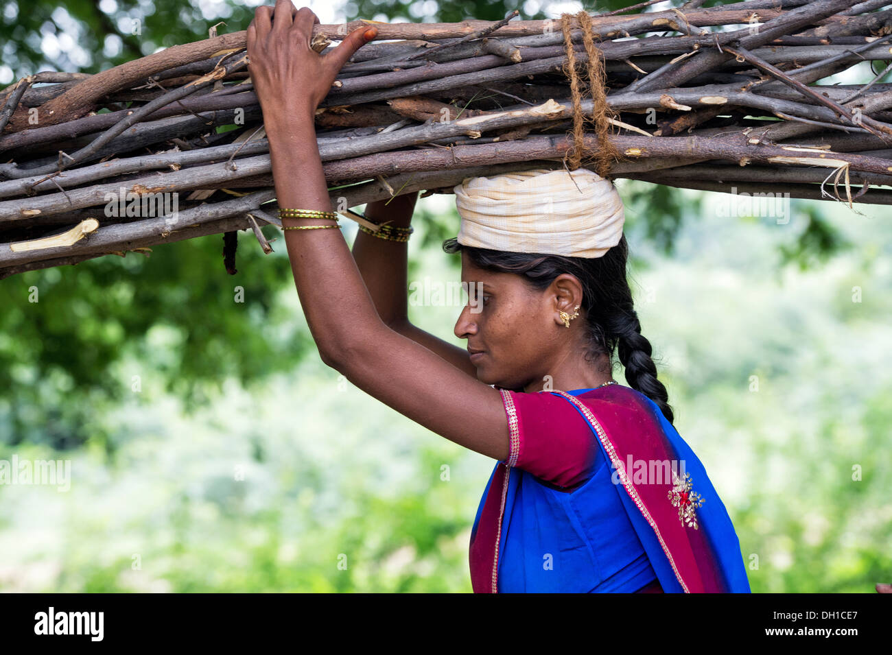 Indische Dorf Frau mit Brennholz auf dem Kopf in der indischen Landschaft. Andhra Pradesh, Indien Stockfoto