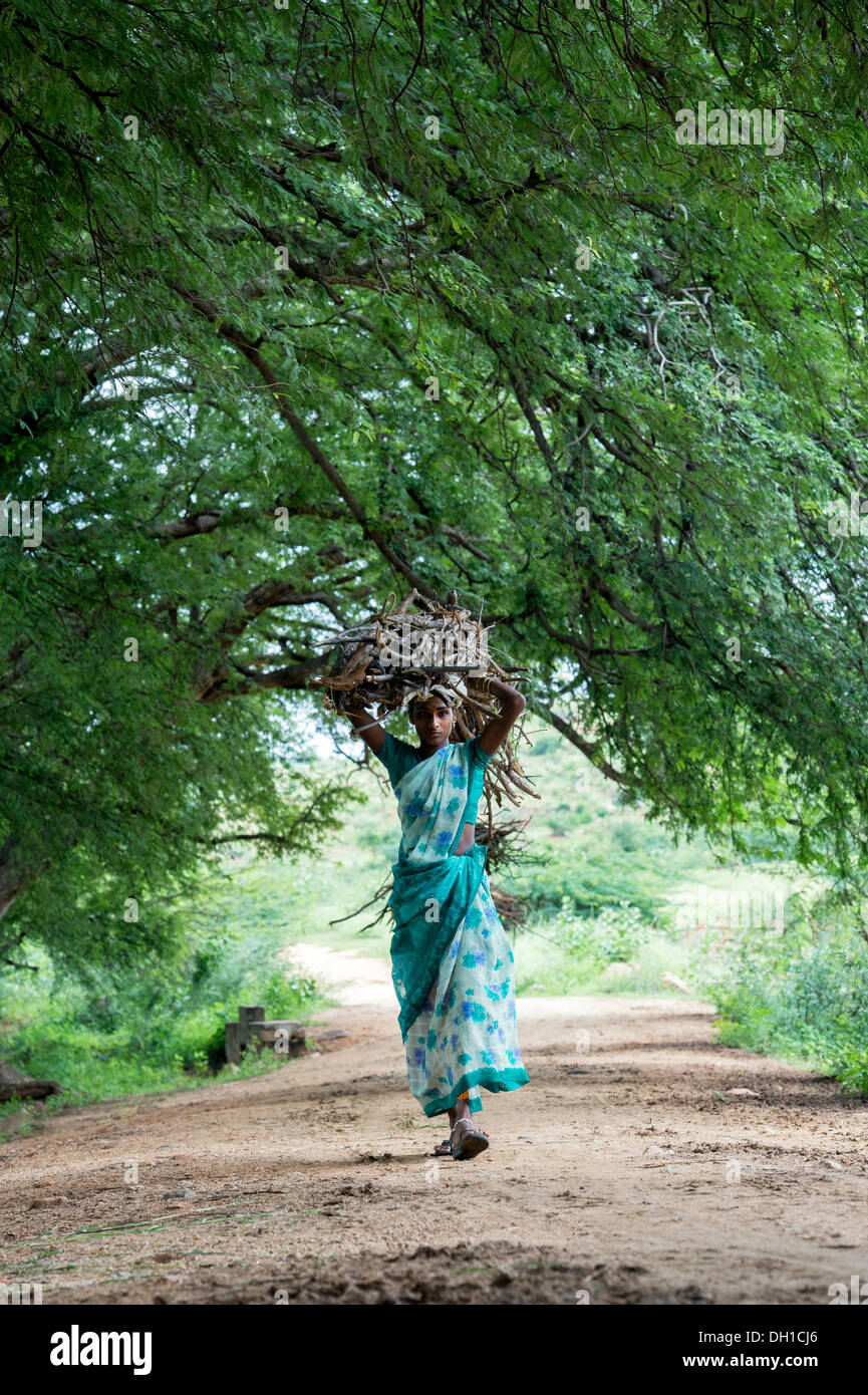 Indische Dorf Frau mit Brennholz auf dem Kopf in der indischen Landschaft. Andhra Pradesh, Indien Stockfoto