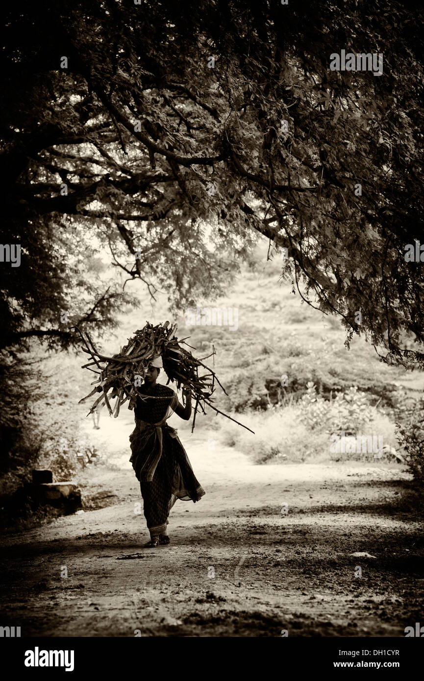 Indische Dorf Frau mit Brennholz auf dem Kopf in der indischen Landschaft. Andhra Pradesh, Indien. Sepia-Farbton Stockfoto