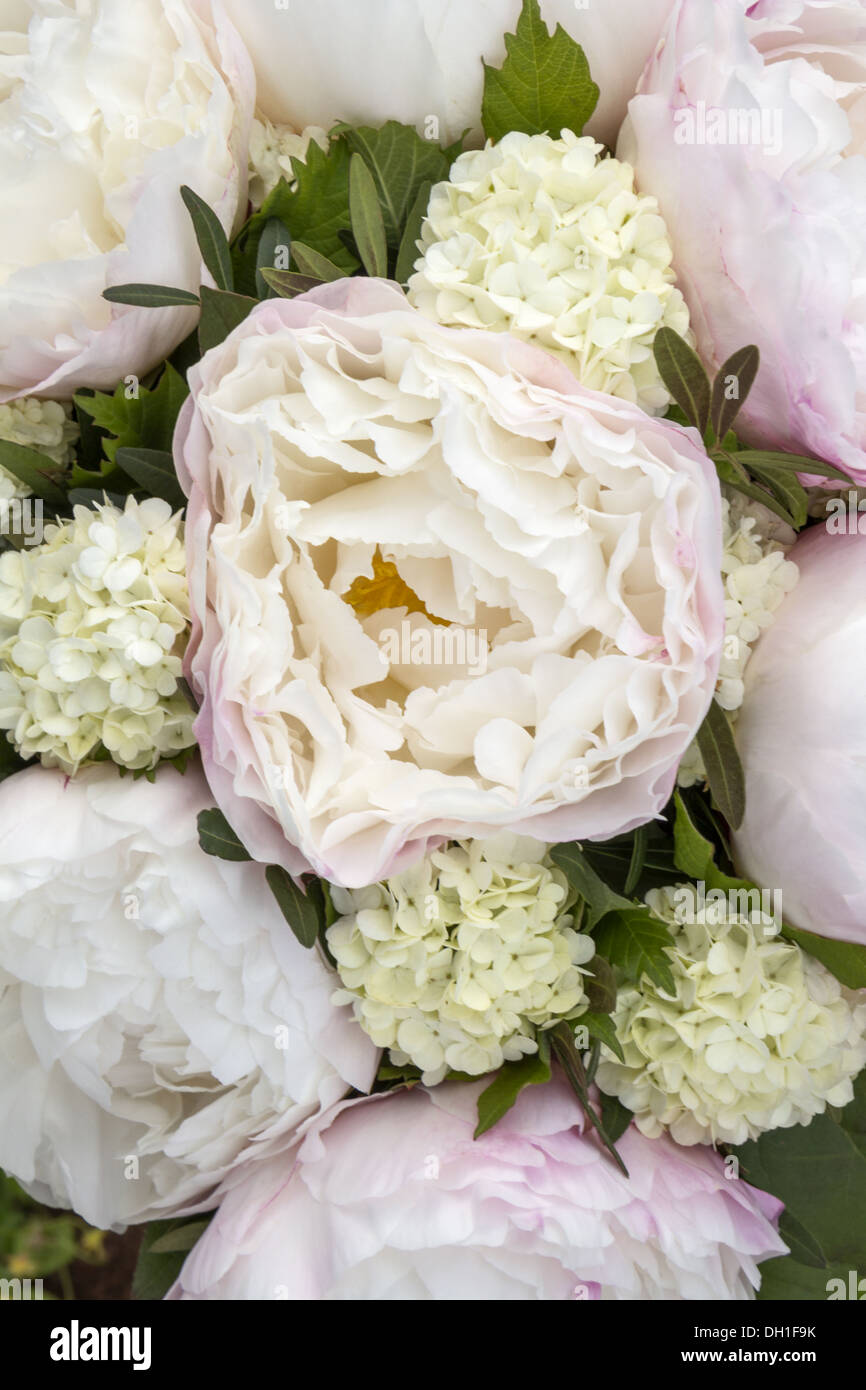 Blumen-arrangement Stockfoto