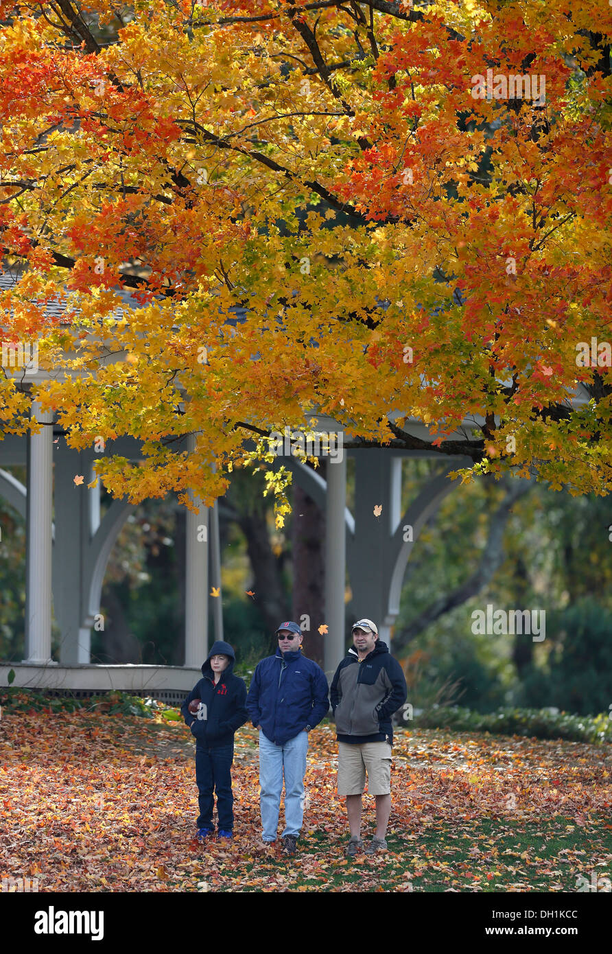Menschen stehen auf New England Herbst Blatt bedeckt Hof Stockfoto