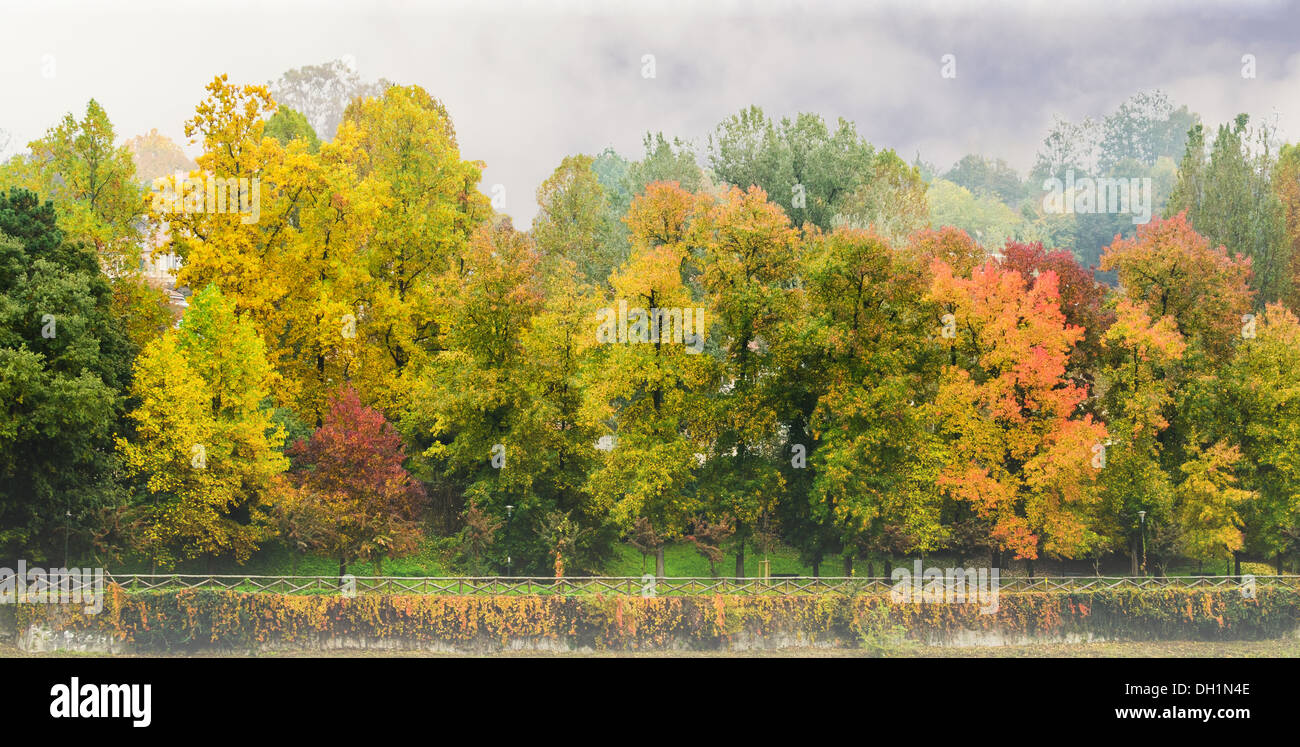 Herbstfarben in einem nebligen Morgen Stockfoto