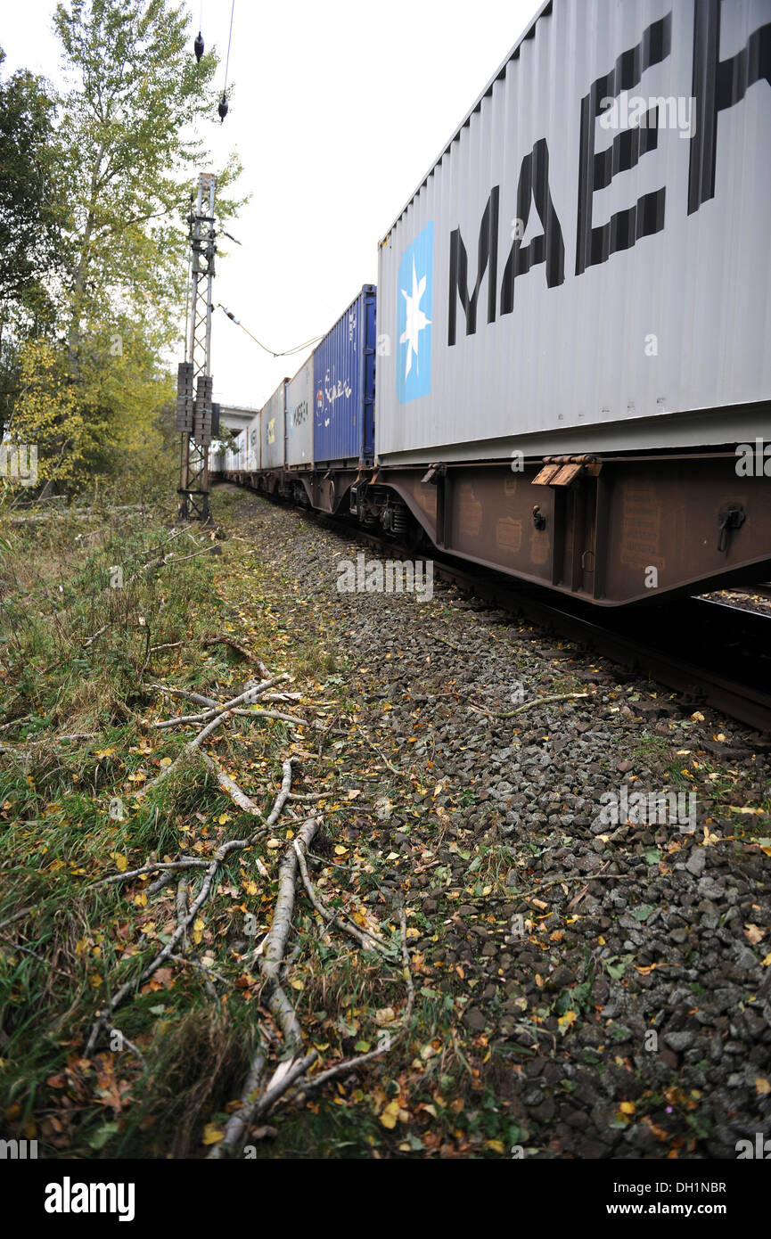 Bremerhaven, Deutschland. 29. Oktober 2013. Die Oberleitungen liegt auf dem Dach eines Güterzuges auf die Bahngleise neben einem zerschnittenen gefallenen Baum in der Nähe von Bremerhaven, Deutschland, 29. Oktober 2013. Die Linie war während des Sturms am 28. Oktober 2013 durch einen umgestürzten Baum auf das Dach eines Güterzugs klopfte. Foto: CARMEN JASPERSEN/Dpa/Alamy Live News Stockfoto