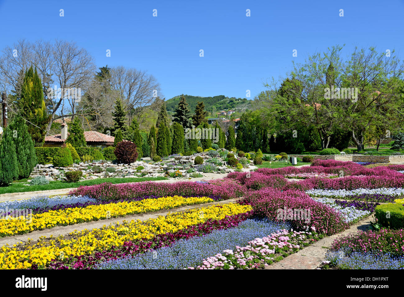 Schöne Tulpen in einem botanischen Garten Stockfoto