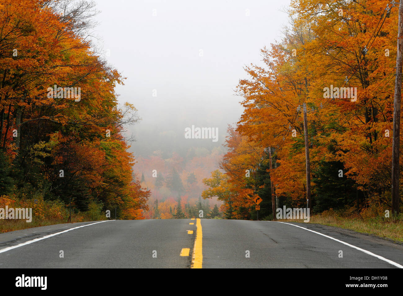 Landstraße im Herbst, Adirondacks, Upstate New York, USA Stockfoto