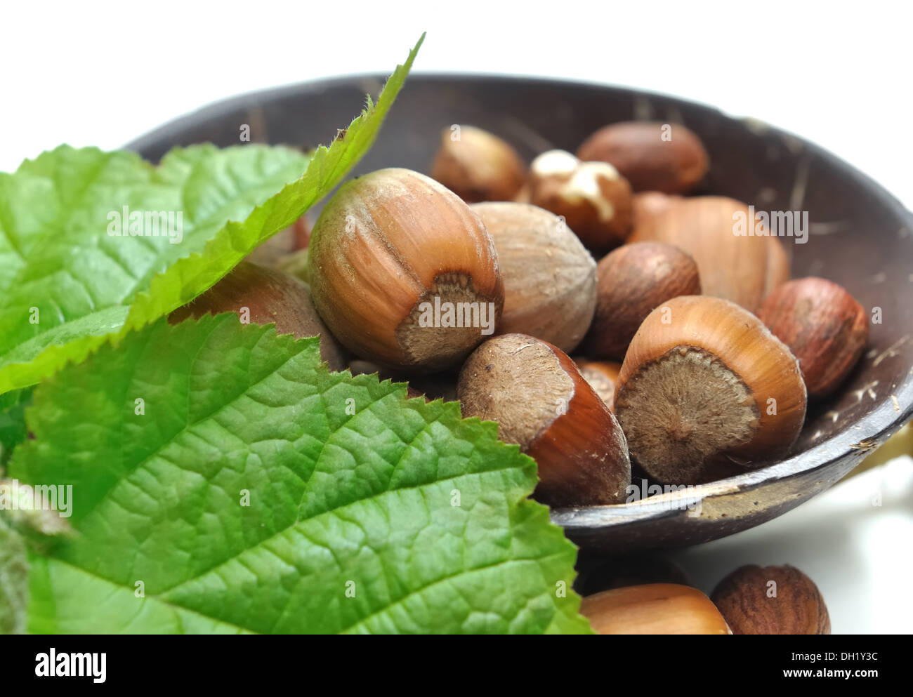 Haselnüsse in einer Holzschale mit Blättern auf weißem Hintergrund Stockfoto