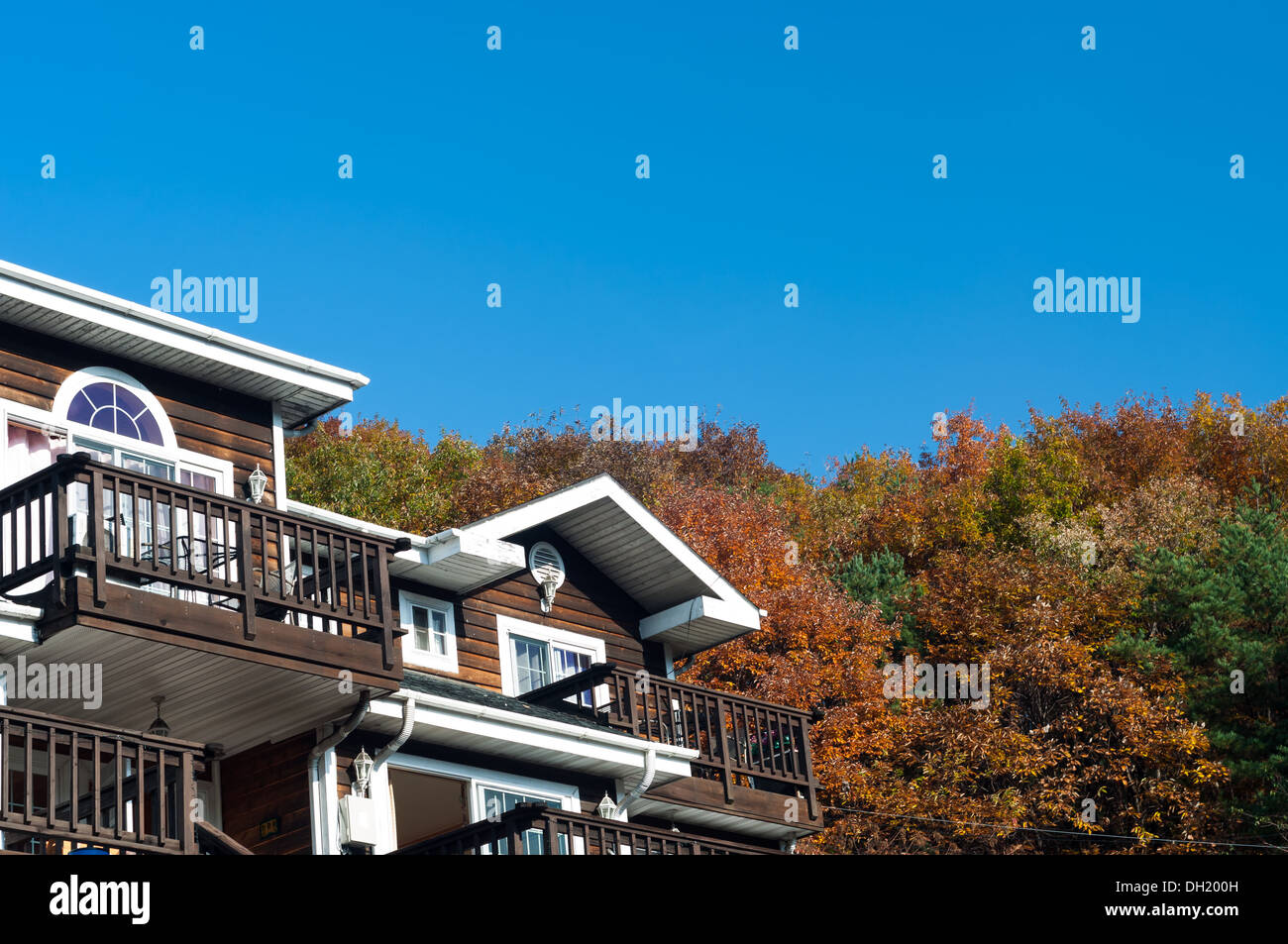 Eine Holzhütte unter den wechselnden Blätter des Herbstes. Stockfoto