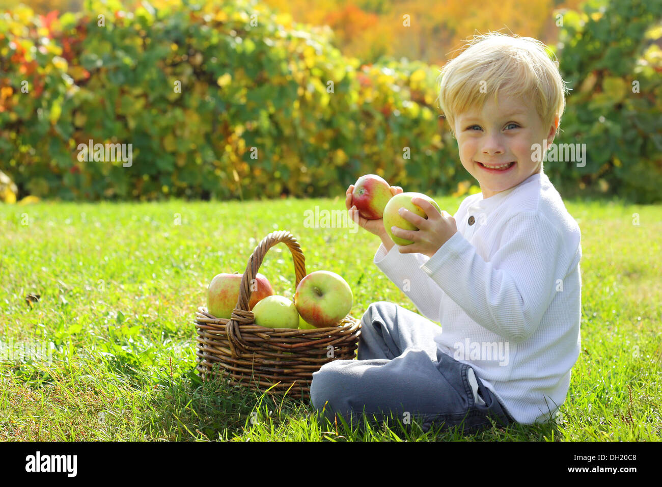 ein lächelndes Kind hält zwei Stücke Obst in seinen Händen, als er an einem sonnigen Tag in den Rasen auf einer Apfelplantage sitzt Stockfoto