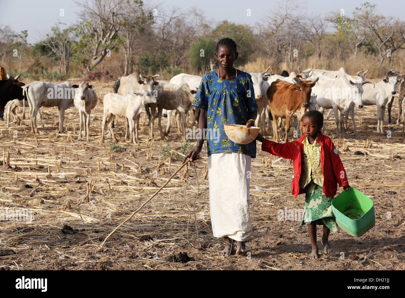 Mutter und Kind, die ihre Kühe, nördlichen Burkina Faso gemolken Stockfoto
