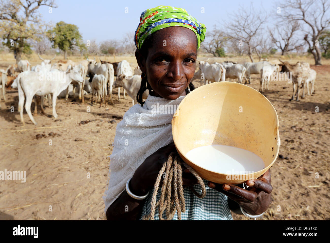 Eine Fulbe-Frau präsentiert Kalebasse mit frischer Milch, Burkina Faso Stockfoto