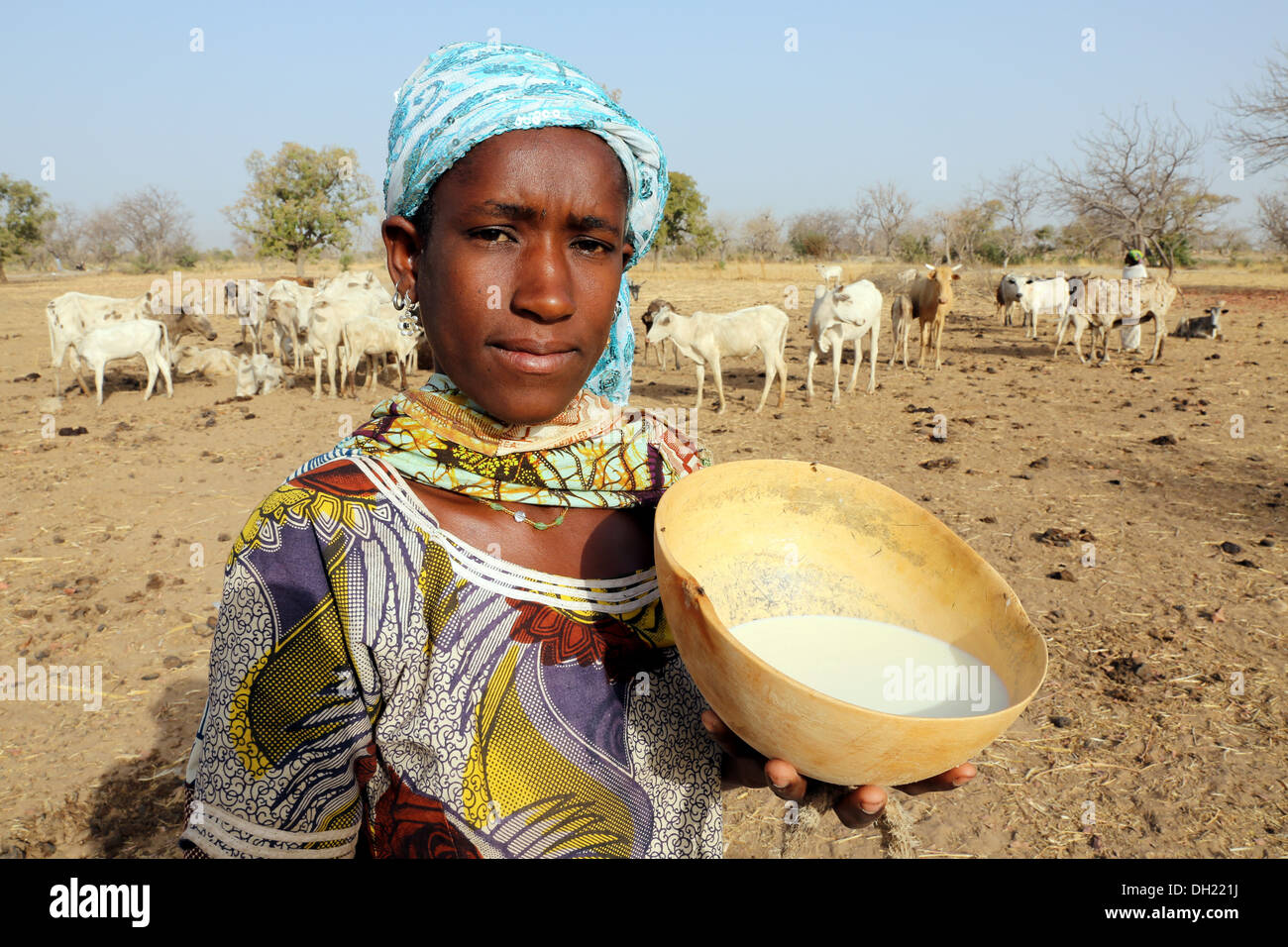 Eine Fulbe-Frau präsentiert Kalebasse mit frischer Milch, Burkina Faso Stockfoto