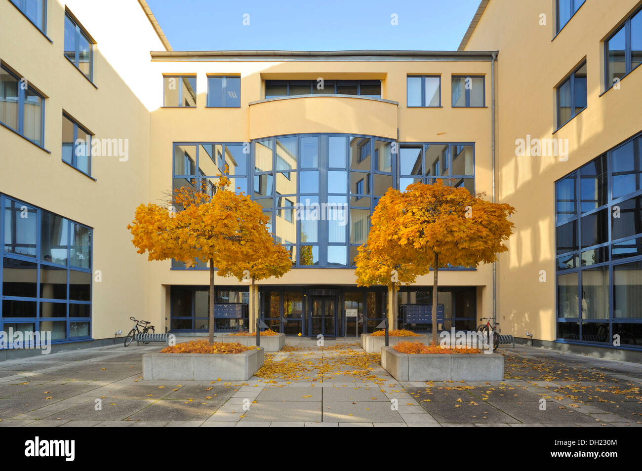 Blätter im Herbst vor dem Eingang zur Bamberger Straße 7, Straße, Dresden, Sachsen, PublicGround Stockfoto