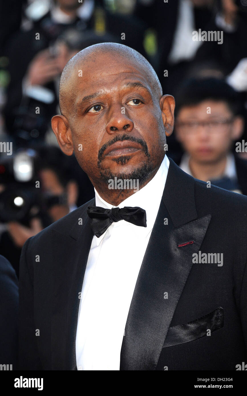 Stadt von Cannes: Forest Whitaker auf dem roten Teppich vor der Vorführung des "Zulu" auf 2013/05/26 Stockfoto