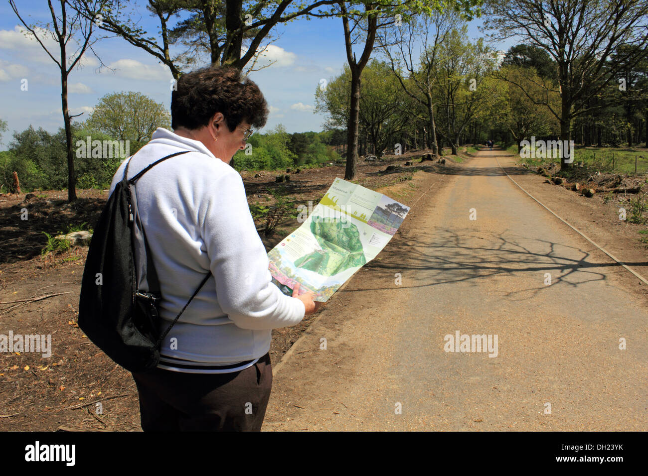 Ältere Frau Rentner lesen Karte Weg an Hindhead Surrey England UK Stockfoto