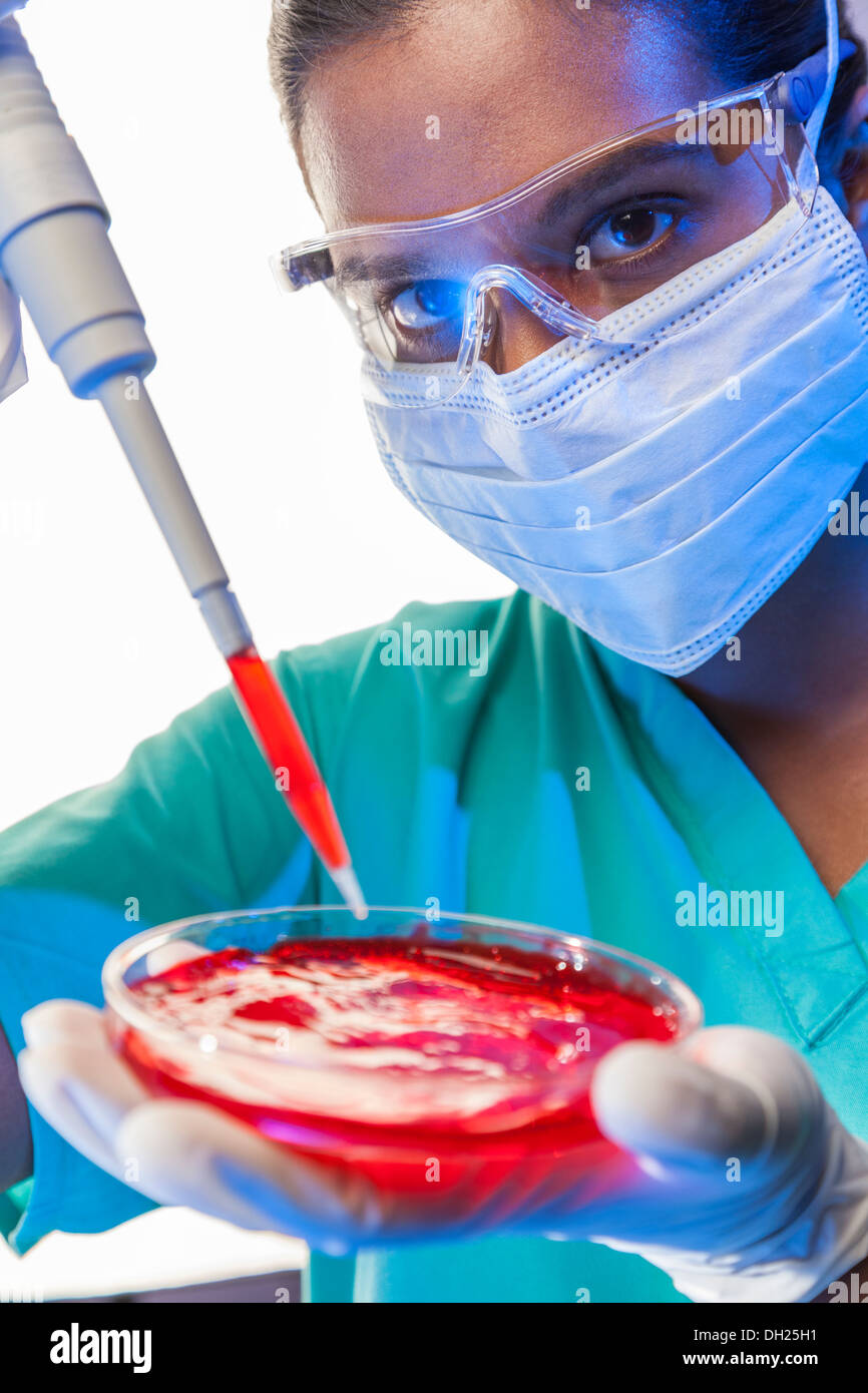 Weibliche asiatische wissenschaftlichen Mediziner oder Arzt mit Pipette & Petrischale Blutprobe im Labor testen Stockfoto