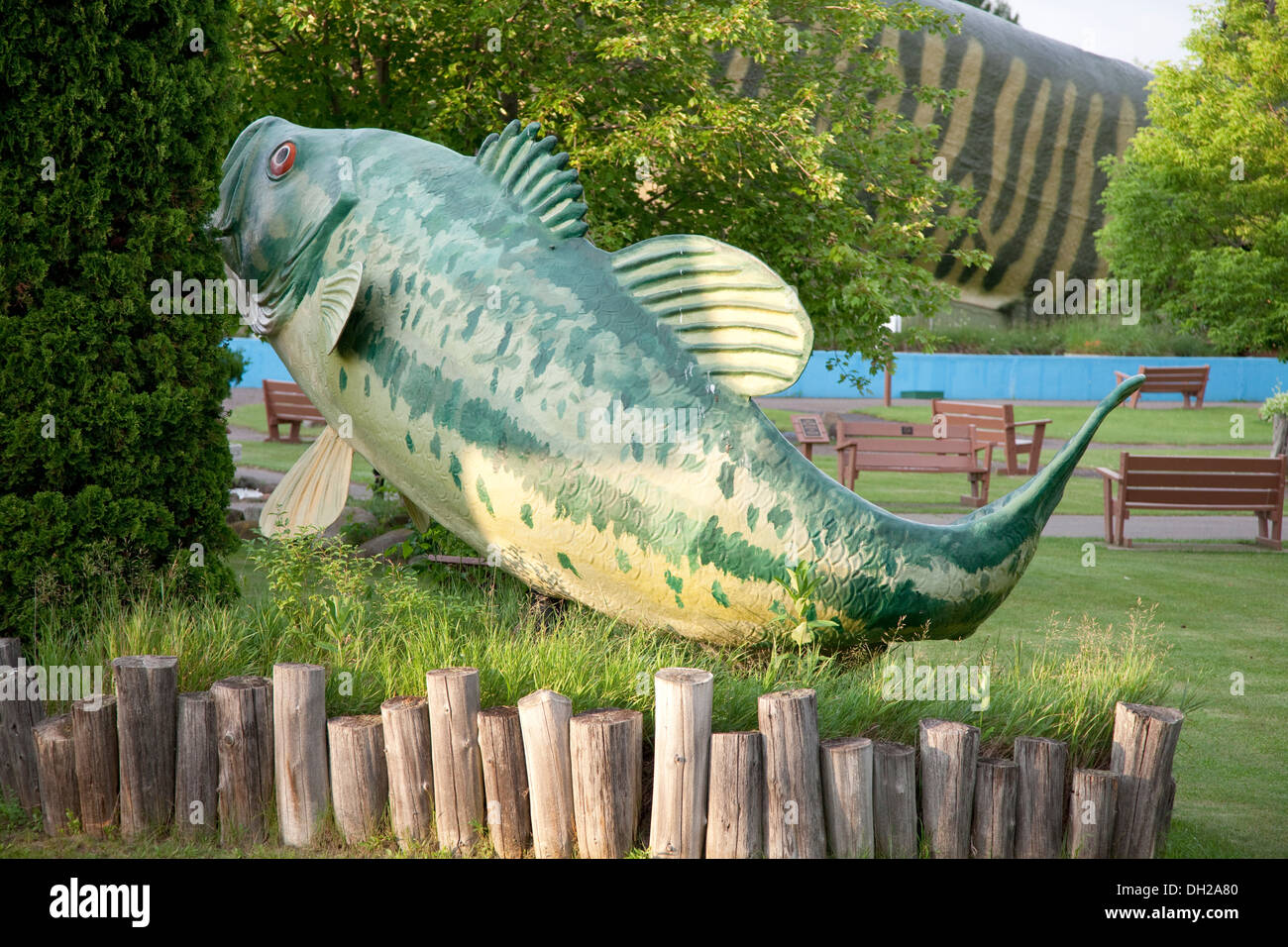 Großer Mund Bass lebensechte Fisch Skulptur. Frisches Wasser Angeln Hall of Fame and Museum Hayward Wisconsin WI, USA Stockfoto